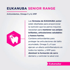 Eukanuba Perro Senior Grande X 15 Kg en internet