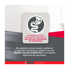 Excellent Formula Perro Adulto 20 Kg