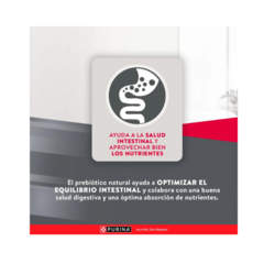 Excellent Perro Adulto Pequeño 3Kg - tienda online