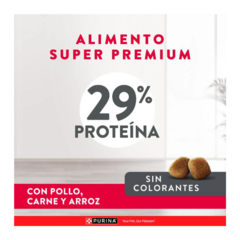 Excellent Perro Cachorro Pequeño 3 Kg - Pipa Store