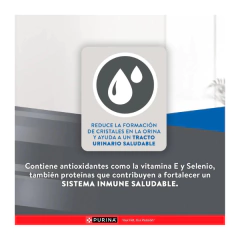 Excellent Gato Urinary x 1 Kg - tienda online