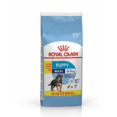 Royal Canin Perro Maxi Puppy X 15 + 3 Kg