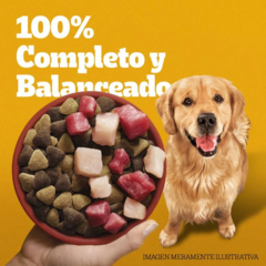 Pedigree Adulto Carne Pollo Y Cereales X 21 Kg - Pipa Store