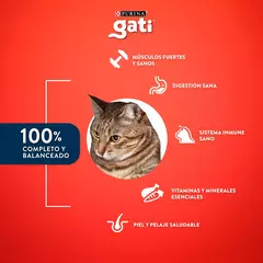 Gati Pescado y Salmon x 15 kg en internet