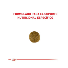 Royal Canin Perro Gastrointestinal Adulto X 2 Kg en internet