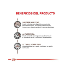 Royal Canin Perro Gastrointestinal Adulto X 2 Kg - comprar online