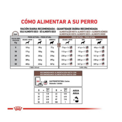 Royal Canin Perro Gastrointestinal Adulto X 2 Kg - tienda online