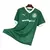 camisa-palmeiras-i-25-26-torcedor-puma-masculina-verde