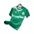 camisa-palmeiras-por-um-futuro-mais-verde-edicao-especial-24-25-torcedor-puma-masculina-verde-e-branca