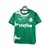 camisa-palmeiras-por-um-futuro-mais-verde-edicao-especial-24-25-torcedor-puma-masculina-verde-e-branca