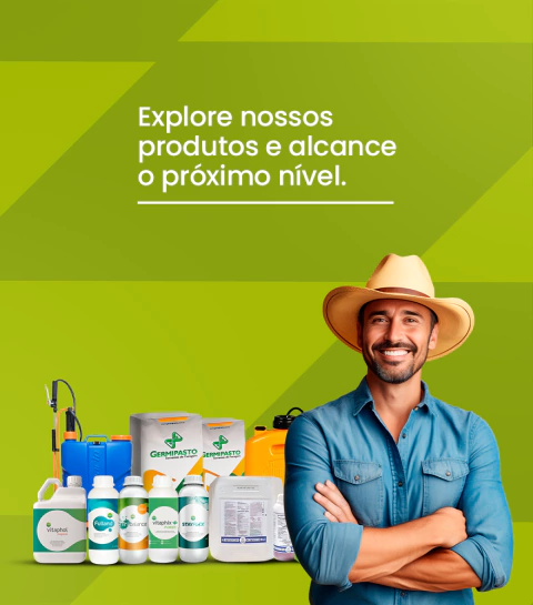 Carrossel 1