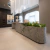 Porcelanato Antico Ivory 60x120 Vite