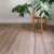 Porcelanato Ilva Ecowood Rovere 20x120 - comprar online