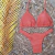 Imagem do Biquini Jasmine