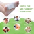 Detox Foot Pads Eliminador de Impurezas - 2 Pares - Loja Mô! Eu Quero