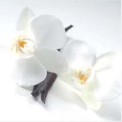 Difusor de varillas 3x2 - Perfuma