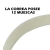 CORREA V12 ANCHA LEGITIMA CONCEPT 5,05 C12