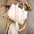 Cartera Jupiter en internet