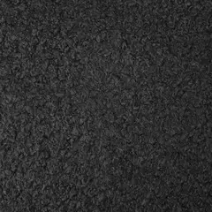 PIEL DE OVEJA NEGRO