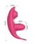 VIBRADOR DE CALCINHA POR APLICATIVO - MLPP3045 - FT POLETI LTDA