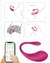 VIBRADOR CASAL POR APLICATIVO - MLPP2028 - FT POLETI LTDA