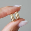 ARGOLLAS MICROPAVE TAÍNA