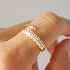 ANILLO DOBLE MICROPAVE - comprar online
