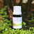 Óleo Essencial de Citronela de Java (Cymbopogon winterianus) - 10mL