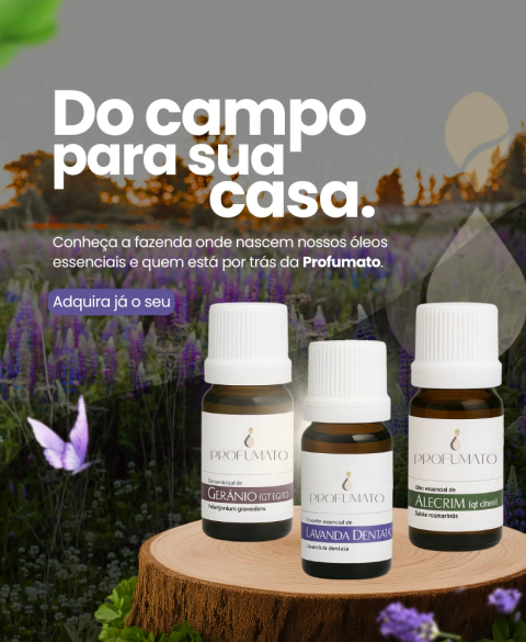 Carrossel 1