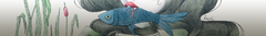 Banner da categoria Peças em Liduidação