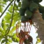 Imagem do Colhedor de Frutas Tramontina
