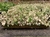 Espuma Fenolica Hidroponia 15 Placas 345 Células