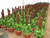 Estaca Xaxim de Fibra De Coco Para Plantas Trepadeiras - comprar online
