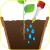 Fertilizante Gota a Gota 32ml Plantas Verdes - Jardim & Cultivo | The Gardener