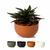 Vaso Cachepo Mini Cuia 13