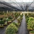 Sombrite para Horta 80% Tela de Sombreamento - Jardim & Cultivo | The Gardener
