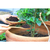 10kg Terra Vegetal Adubada Organico Substrato para Plantas Jardim Gramado Mudas Hortaliças Flores - comprar online