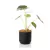 3 Tutor Suporte para Plantas Trepadeiras Metal Jaridm Vasos Decoração na internet