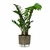 Vaso Autoirrigável Médio N03 16cm x 14cm na internet