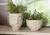 Vaso Cachepô Face Menino 14 Cor Cimento - Jardim & Cultivo | The Gardener