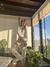 Pants Mindy - tienda online