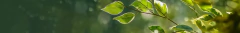 Banner da categoria Kits