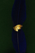 Anel Penas Dourado - per__fare