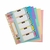 SEPARADOR P/MATERIAS A4 LAMA PVC C/LENGUETA PASTEL