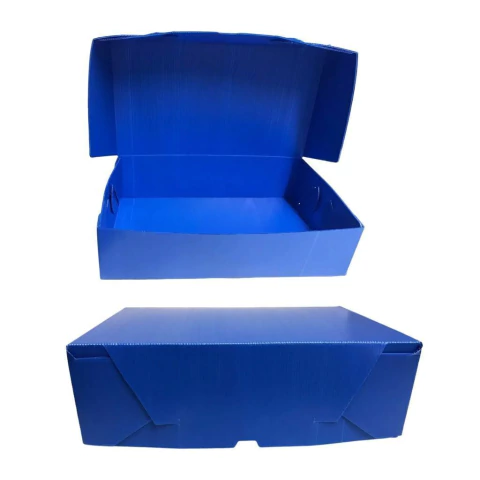 CAJA DE ARCHIVO PLASTICA OFICIO 12 (37X26X12 CM) - comprar online