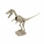 DINO EXCAVATION KIT - VELOCIRAPTOR SKELETON en internet