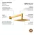Chuveiro de Parede Bracci Dourado - comprar online