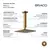 Chuveiro de Teto Bracci Vercci Rose Escovado - comprar online