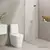 Chuveiro de Parede com Tubo Deca Acqua Plus Standart Cromado - Bello Bagno | Perfezione per la tua casa.