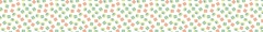 Banner de la categoría Regalos y Ocasiones